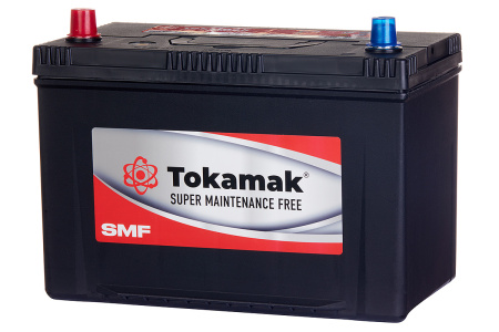Аккумуляторная батарея TOKAMAK SMF 100 A/h 125D31R (пусковой ток 830A) 2023 ГОД