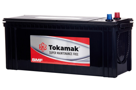 Аккумулятор TOKAMAK SMF 120 A/h N120R (пусковой ток 820A)