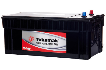 Аккумулятор TOKAMAK SMF 200 A/h N200R (пусковой ток 1150A) 2022 ГОД