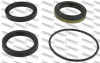 Ремкомплект рулевой рейки 0491-K57T/MR151065 Febest