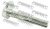 Болт с эксцентриком 0129-014/48409-42030 Febest